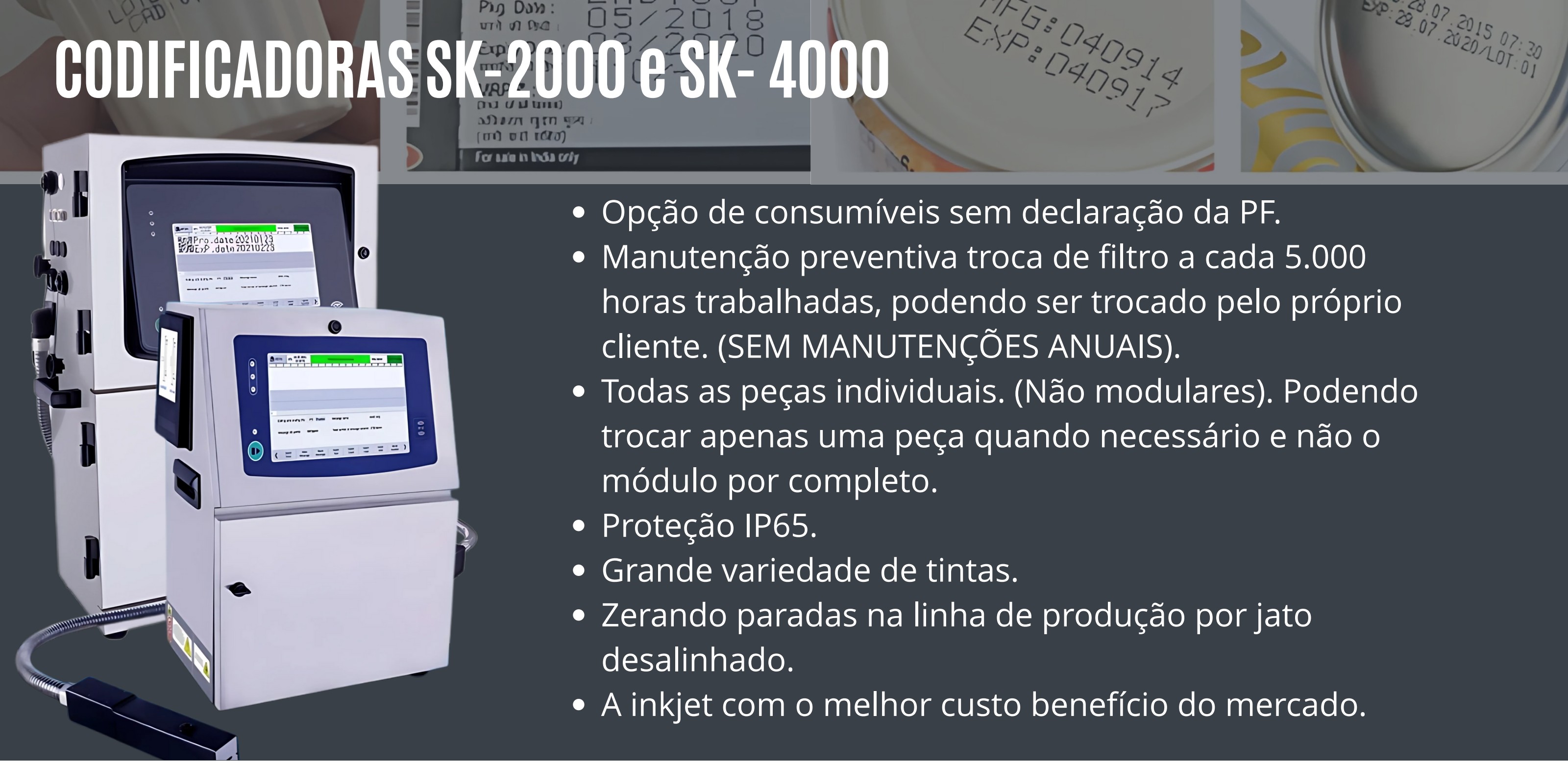 Página do catálogo Domínio Automação: SK-2000 e SK-4000