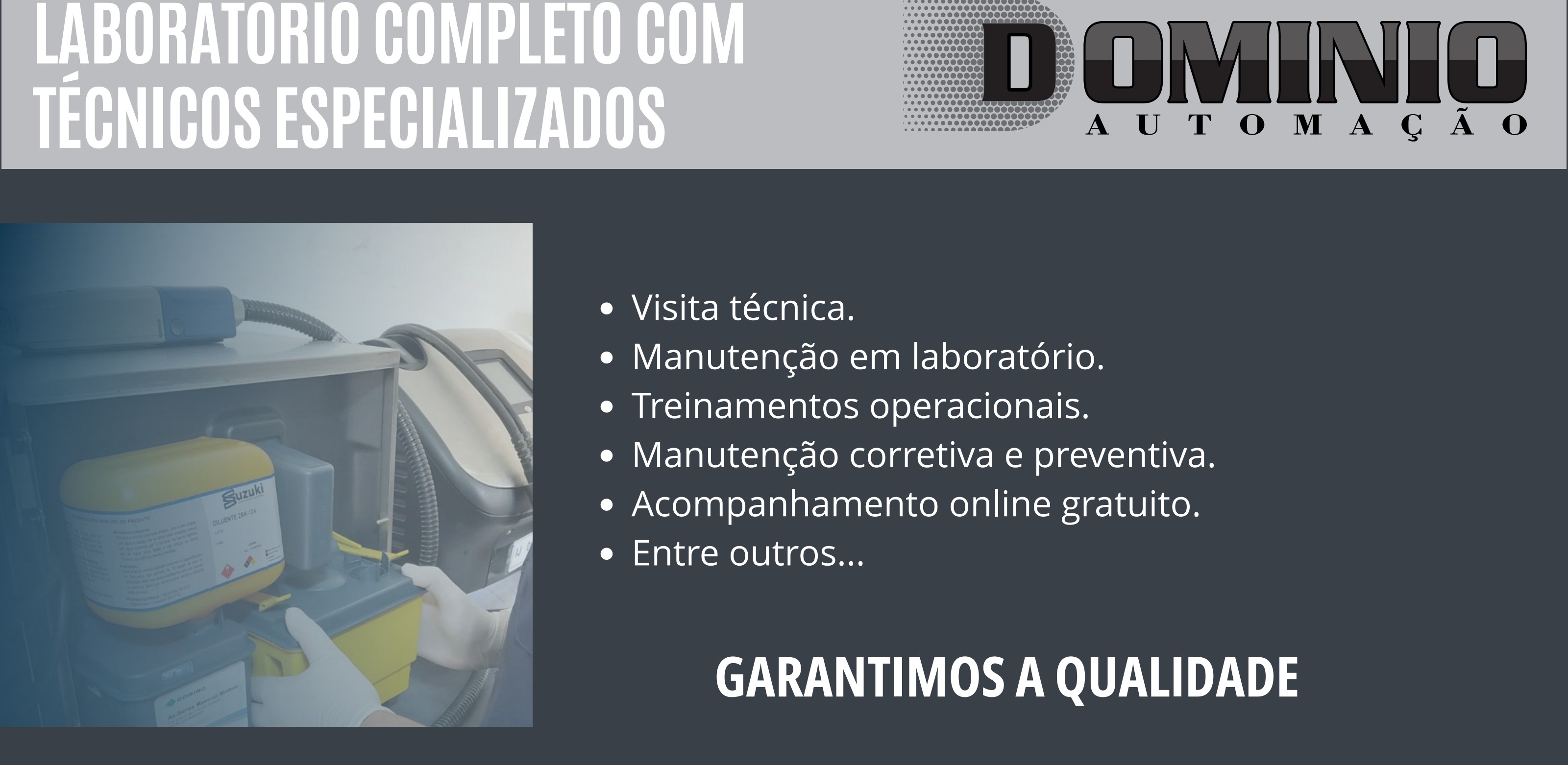 Página do catálogo Domínio Automação: Laboratório e serviços